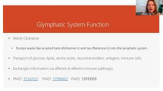 What Is the Function of the Glymphatic System shorts [upl. by Sammons]