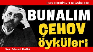 quotBunalımquot Anton Çehov Öyküleri  Sesli Kitap Dinle [upl. by Enahc]