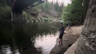 Fishing Under Boards Crossing Bridge  North Fork Stanislaus River [upl. by Adelle]