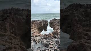 Blowing Rocks Preserve Hobe Sound Fl hiddengemssouthflorida blowingrocks [upl. by Ahsiekit]