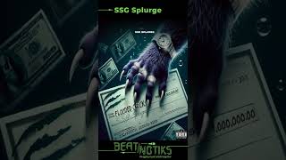 SSG Splurge  Flooded Check Audio [upl. by Beatrisa411]