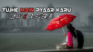 Tujhe Main Pyaar Karu  Emotional Slow amp Reverb  Mind Relaxable Lofi For Upset Mood [upl. by Einahpts]