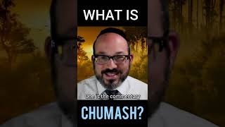 What is Chumash  shorts  Everybodys Rebbi  Rabbi Rafi Mollot [upl. by Ludvig]