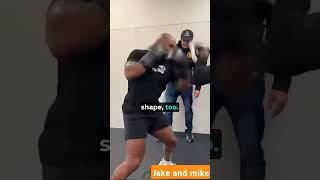 JOE ROGAN TYSON AND PAUL jre jakepaul miketyson [upl. by Bahner]