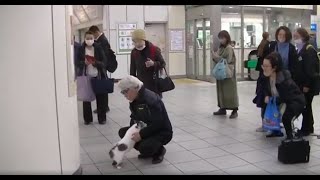 忠犬いや、猫 大好きな主人，駅でおむかえ＊ [upl. by Etnoel]