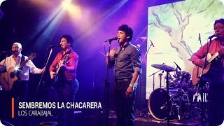 Los Carabajal  Sembremos la Chacarera [upl. by Juna]