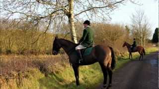 Fox hunting in Ireland [upl. by Hilarius]