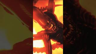 NECA Alien Resurrection Xenomorph Warrior shorts actionfigures toyphotography xenomorph [upl. by Aihtebat861]