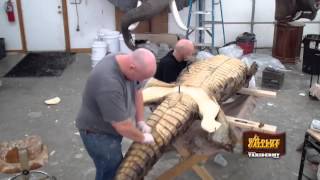 Taxidermy Time Lapse  Crocodile [upl. by Mrots]