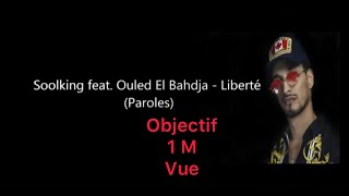 Soolking feat Ouled El Bahdja  La Liberté Paroles [upl. by Grail]