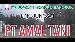 PULAU SEMIKAT ‼️PT AMAL TANI TJ PUTRI PERKEBUNAN JAMIN GINTINGquotS LANGKAT [upl. by Boor]