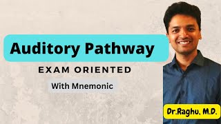 Auditory Pathway  Hearing  mbbs physiology mbbsexams [upl. by Blackmun]