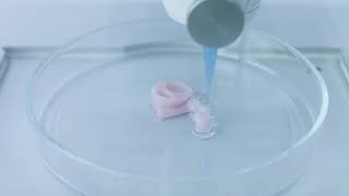 Cellink bioprinting footage [upl. by Kcirej962]