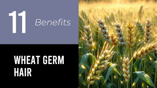 11 Wonders of Wheat Germ Hair [upl. by Niuqauj]