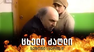 ცხელი ძაღლი  სეზონი 1 სერია 6 [upl. by Atikahc]