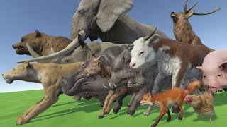 Animals SPEED COMPARISON 3D  Realistic World Data [upl. by Anhpad]