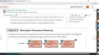 Three Basic Processes of Memory [upl. by Akinor]