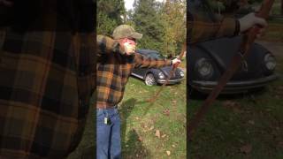 Shooting the Alpha Reflex from Wolf Paw Custom Bows [upl. by Albion]