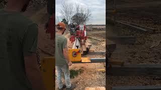 Sawmilling red oak on the Mahoe Sawmill sawmill sawmilling woodworking diy [upl. by Leland]