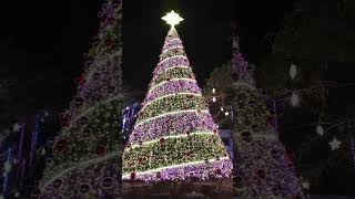 Alaminos City Pangasinan Christmas Tree  christmas decoration alaminos [upl. by Newbill]