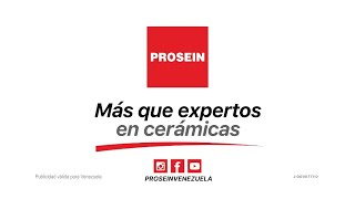 PROSEIN quotMÁS QUE EXPERTOS EN CERÁMICASquot ❤️ [upl. by Holly]