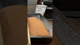 Pumpernickel Bread Proofing [upl. by Etnauq]