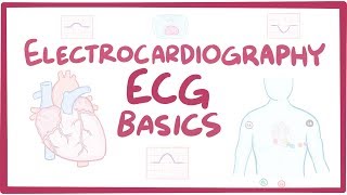 Electrocardiography ECGEKG  basics [upl. by Iver]