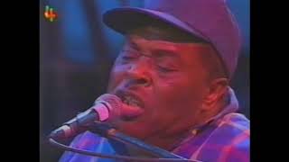 CeDell Davis  Bellinzonia Blues Festival 1995 [upl. by Dewees]