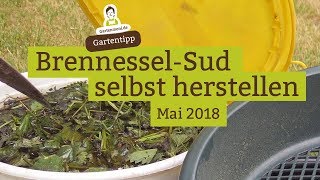 BrennesselSud  BrennesselJauche als Pflanzendünger selbst herstellen [upl. by Negrom]