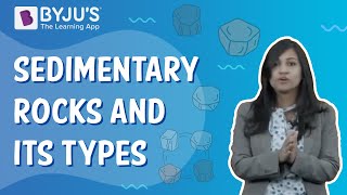 What Are Sedimentary Rocks And How Are They Formed  Class 5  Learn With BYJUS [upl. by Kaasi]