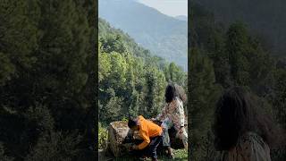 Beautiful view…ChandpurPalampur travel nature views viralvideo adventure natural nepal [upl. by Ary]