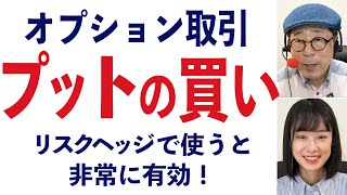 ＜オプション取引＞プットの買いを勉強しよう  リスクヘッジで使うのがおすすめ【講師からの提言】148限目 [upl. by Ettennat]