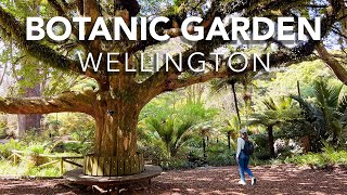 Wellington Botanic Garden 4K Walk  New Zealand 2024 [upl. by Burnley]