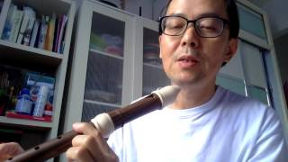 2 How to play alto recorder  blowing and articulation [upl. by Lurlene]