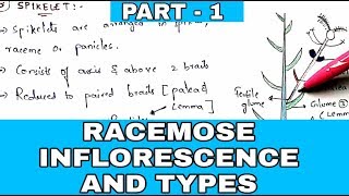 Racemose inflorescence and types  PART  1   Morphology of flowering plants  Bio science [upl. by Ayel]