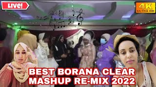 New Borana Intoxicated Mashup Nonstop Mix 2023  Live Band [upl. by Avonasac22]