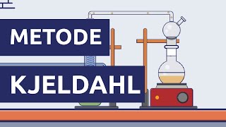 Analisa Protein Metode Kjeldahl [upl. by Yasu]