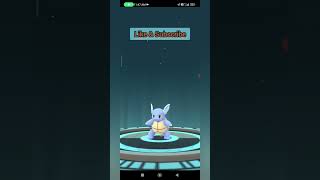 Dynamax Squirtle evolution pokemon pokemongame pokemongo squirtle dynamax wartortle evolution [upl. by Ayo]