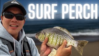 THE ULTIMATE SURF FISHING CATCH amp COOK GUIDE BARRED SURF PERCH [upl. by Aicetal]