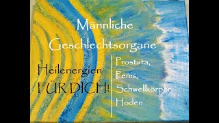 Männliche Geschlechtsorgane I Prostata I Penis I Schwellkörper I Hoden  Heilenergien FÜR DICH [upl. by Naejarual]