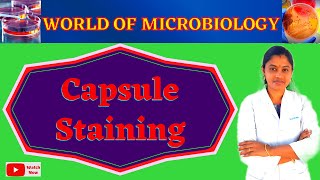 Capsule Staining  Bacterial Staining Tamil  Microbiology Practical  Topic 9 [upl. by Monjan30]