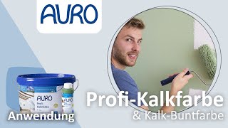 AURO Anwendung Kalkfarben und KalkBuntfarben [upl. by Nolla]