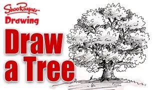 How to draw a tree in pen and ink [upl. by Piscatelli]