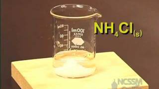 Dissolving of NH4Cl An Endothermic Process [upl. by Arihsa]