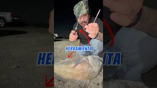 Aguja GIGANTE para SALVAR este PEZ 😱💉⁉️ fishing pesca howto [upl. by Asin]