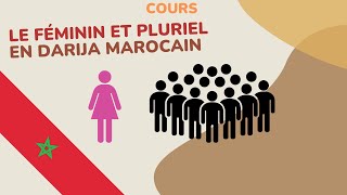 12 🇲🇦​ Apprendre le darijaarabe marocain  Le féminin et le pluriel [upl. by Ema173]