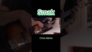 Smak  Crna dama bass cover smak exyu exyumuzikaofficial yumuzika [upl. by Yoj645]