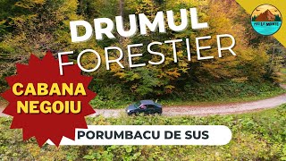 Drumul forestier Cabana Negoiu Cariera de Marmura Porumbacu [upl. by Cline]