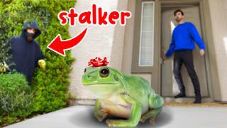 MY STALKER Sent Me A FROG CAUGHT ON CAMERA [upl. by Tombaugh188]