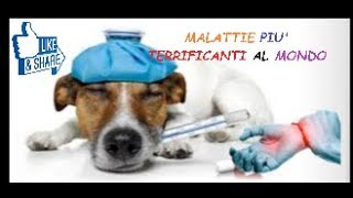 MALATTIE PIU TERRIFICANTI AL MONDO [upl. by Stclair643]